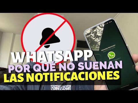 ¿Por qué no suenan las notificaciones de WhatsApp?