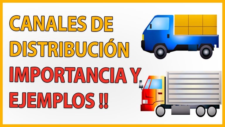 ¿Cuáles son los 4 canales de distribución?