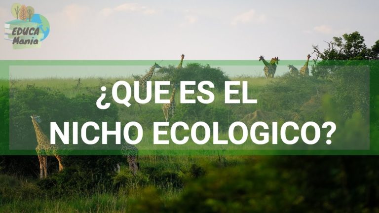 ¿Qué es un nicho ecologico 3 ejemplos?